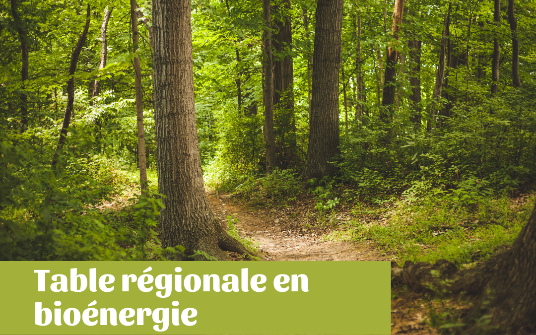3e rencontre de la Table régionale en bioénergie de l’Abitibi-Témiscamingue